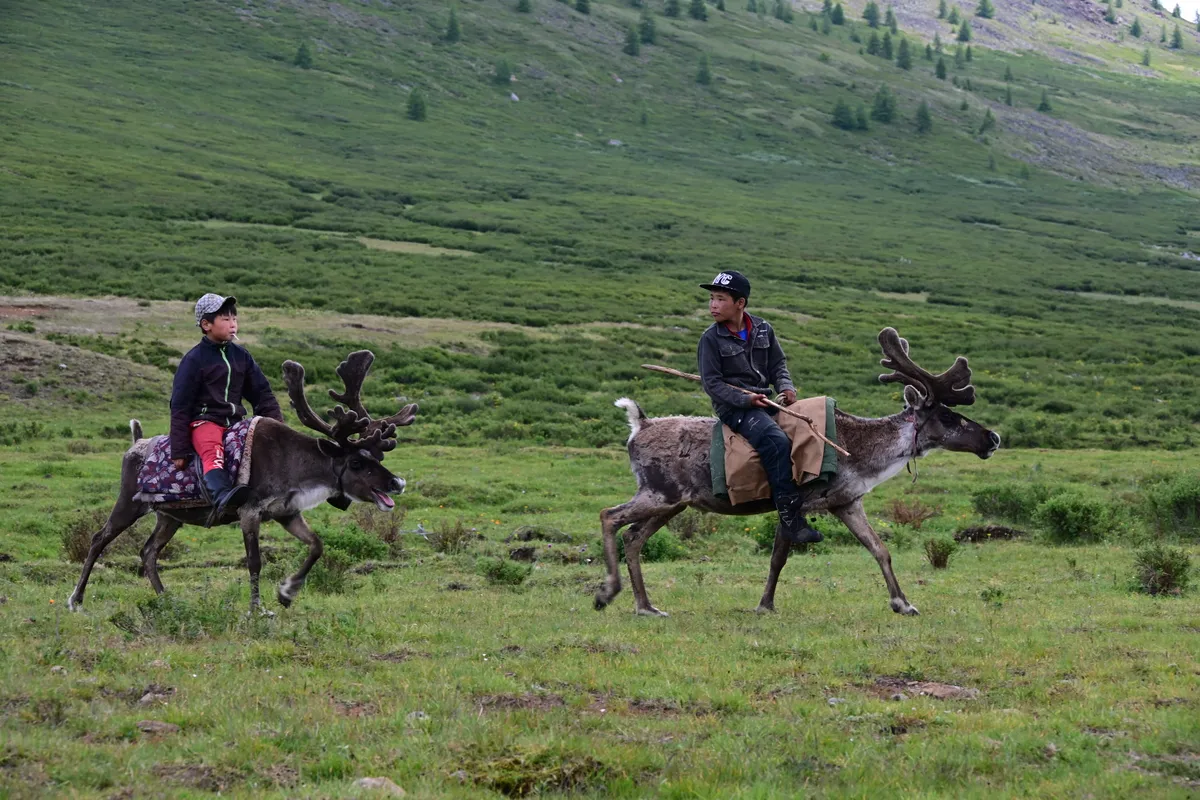 Two boys riding reindeer across a green mountain slope