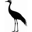 Demoiselle crane
