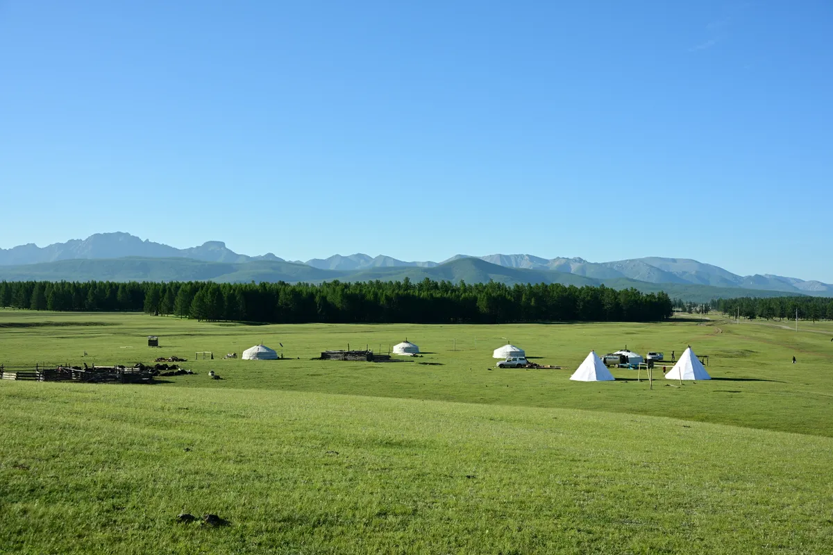 Gers and canvas teepees pitched on open grassland, forest and mountains behind