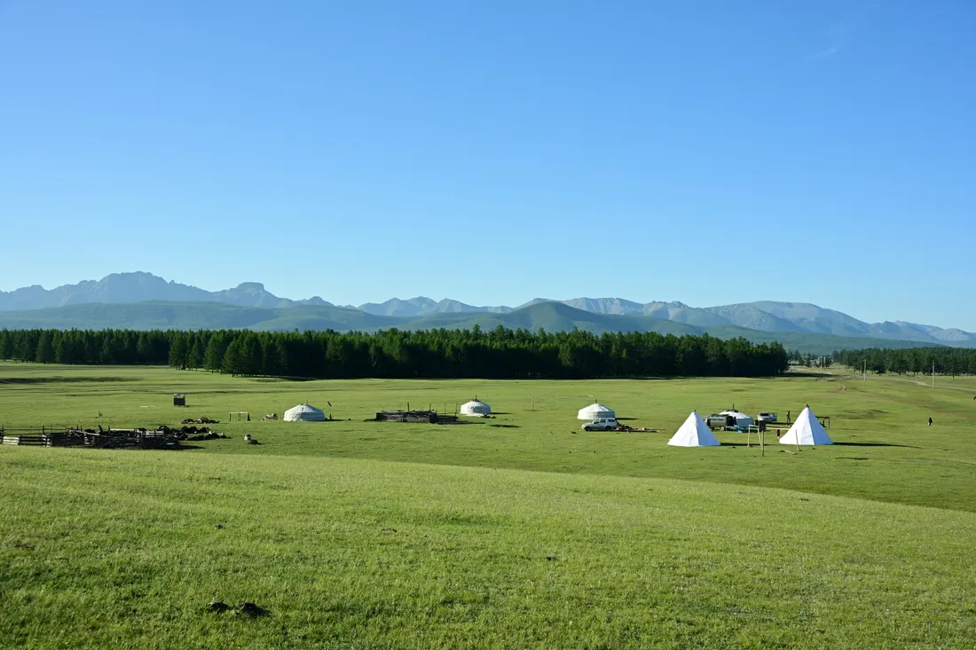 Gers and canvas teepees pitched on open grassland, forest and mountains behind