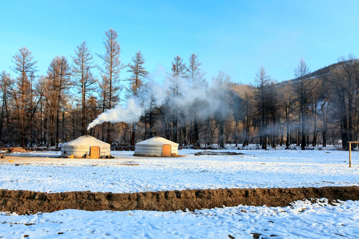 Two gers in the snow before a larch wood, stove smoke drifting from one