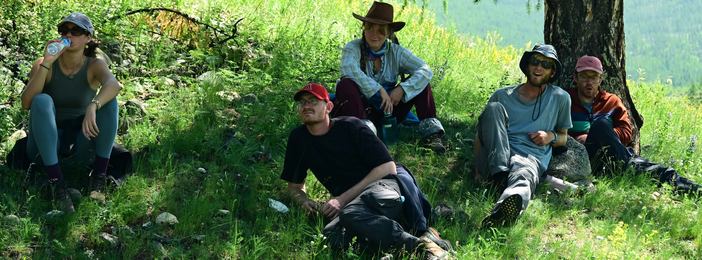 Five travellers resting in the grass in the shade of a larch