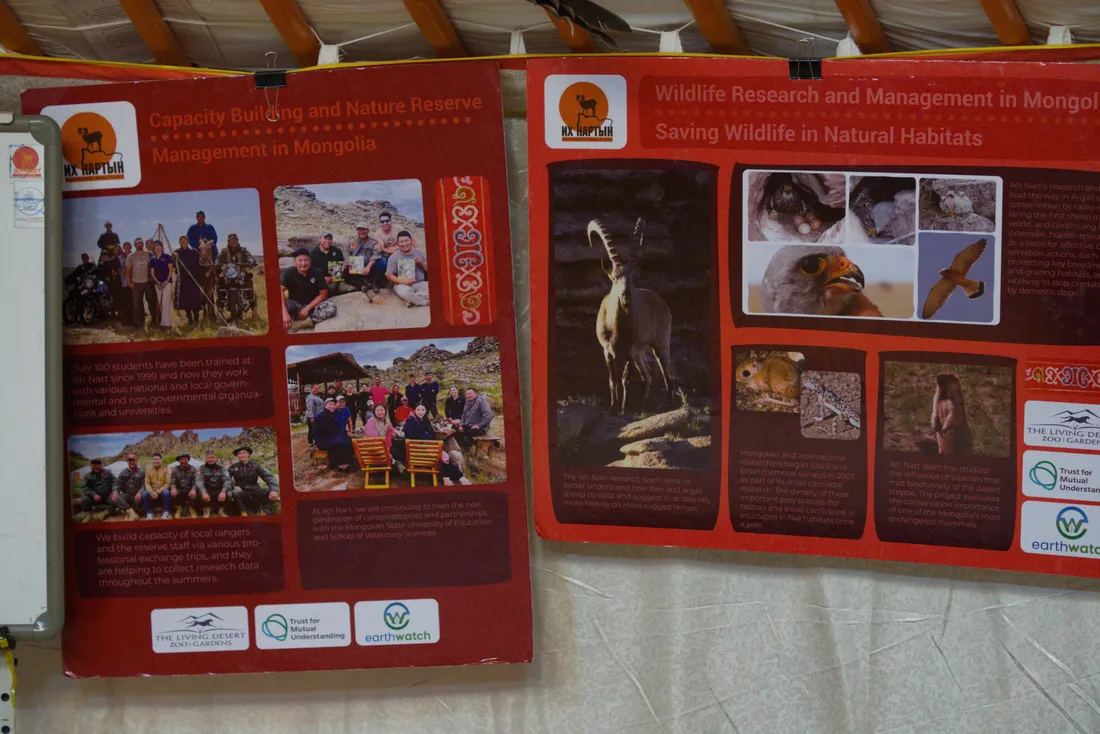 Posters on wildlife research and reserve management in Mongolia, hung inside a ger