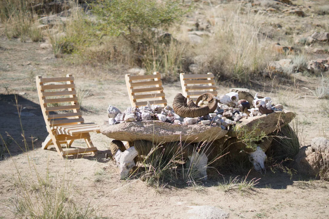 Wooden chairs around a stone table laid with argali skulls and horns