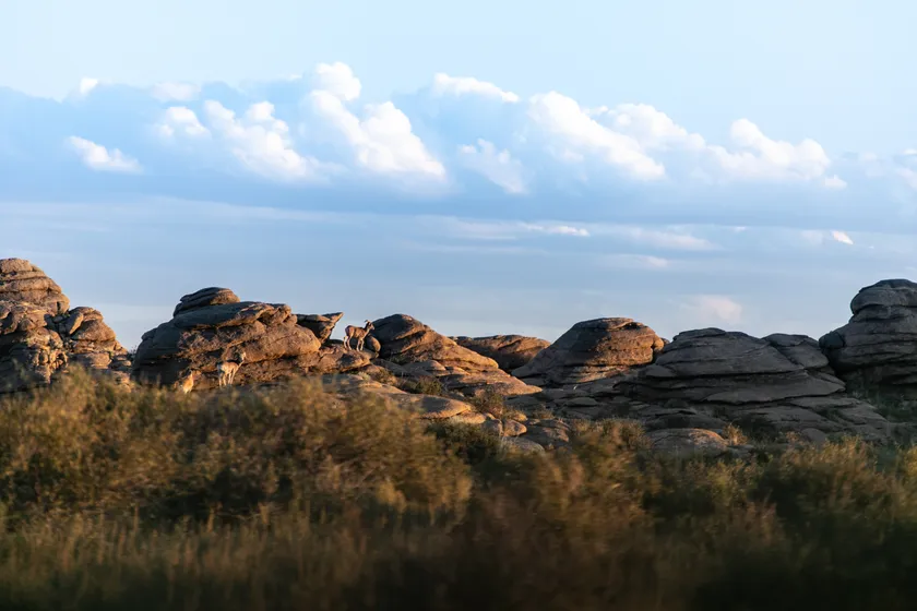 Granite outcrops in low sunlight above dry summer ground