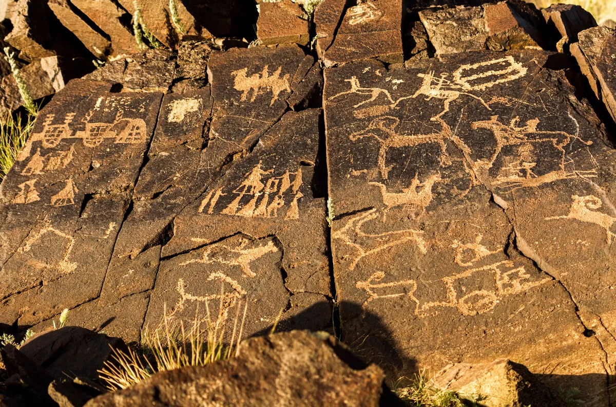 Petroglyphs of horses, riders and carts carved into dark rock