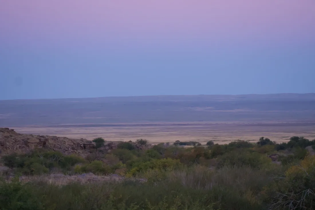 The open steppe at dusk under a pink and violet sky
