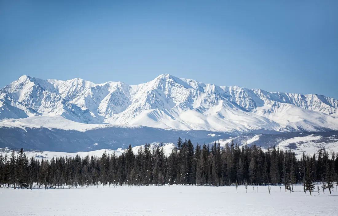 A snow-covered range above a belt of larch forest and open snow