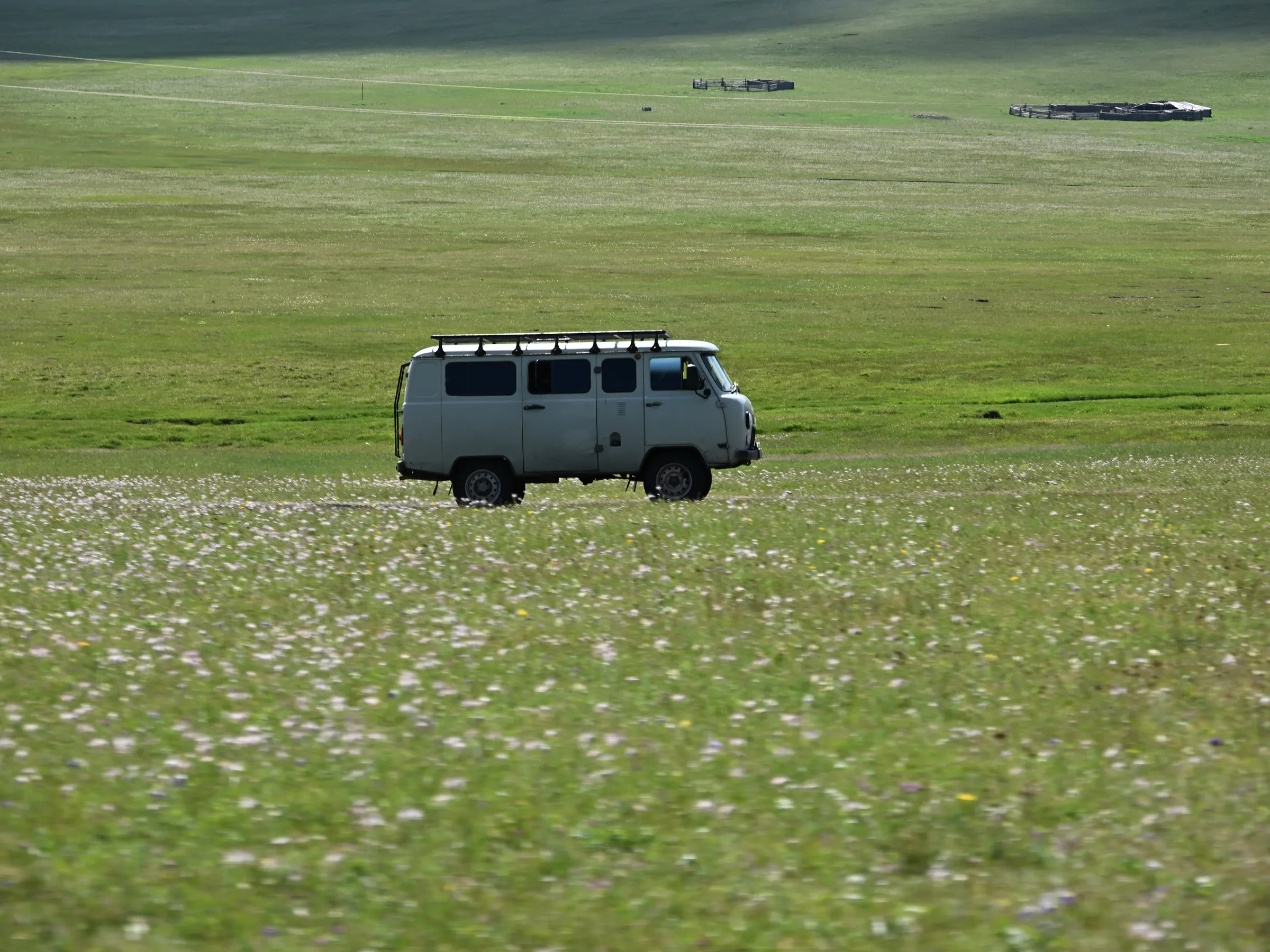 A Russian van parked on flowering steppe, with grazing land stretching to the horizon