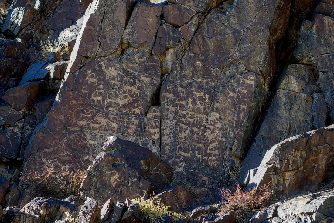 Ancient petroglyphs of ibex, other animals and human figures carved into a dark rock face in the Tost Mountains