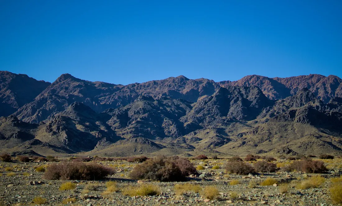 The Tost Mountains under a deep blue sky, with desert shrubs in the foreground