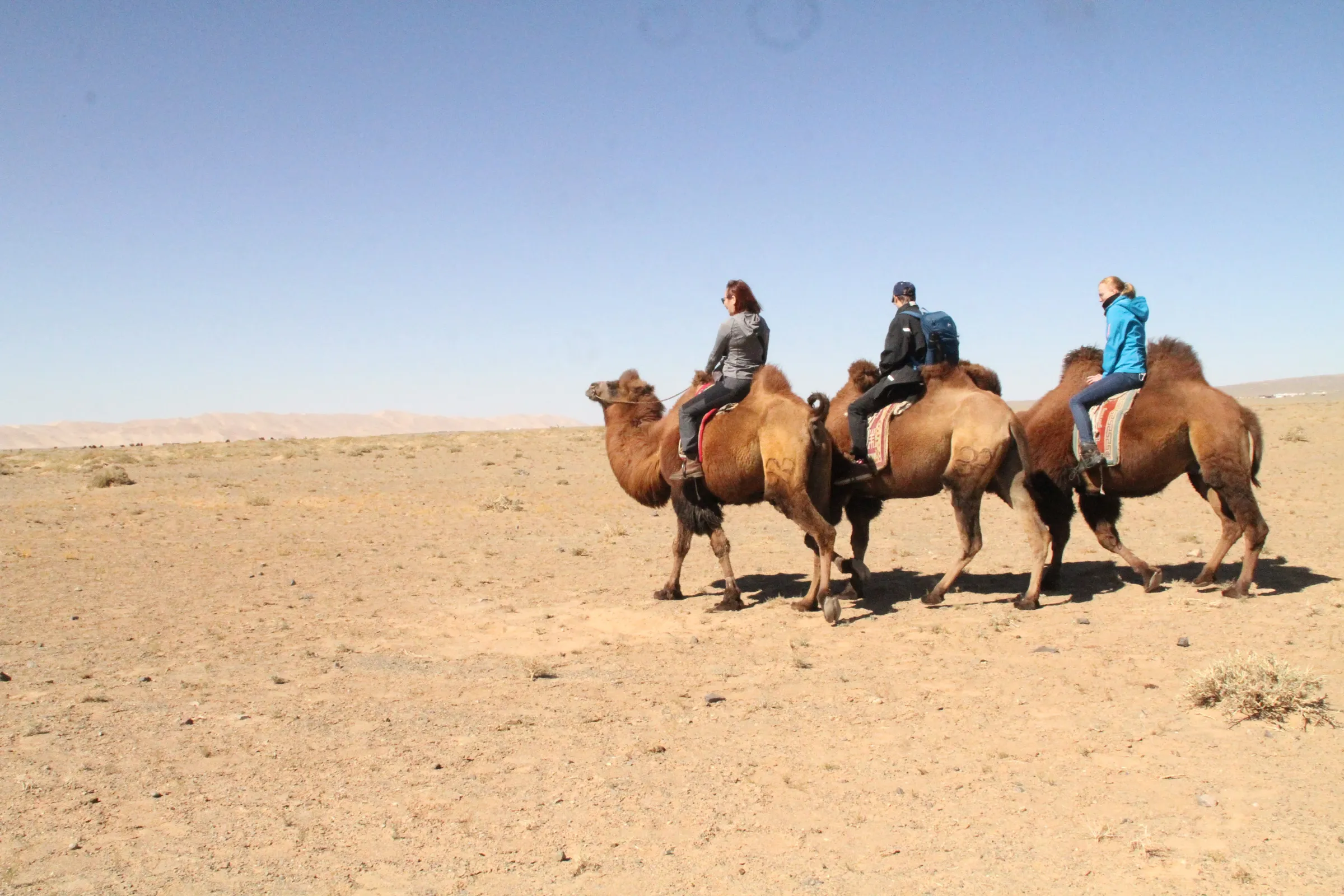 Travellers walking with camels over open gravel