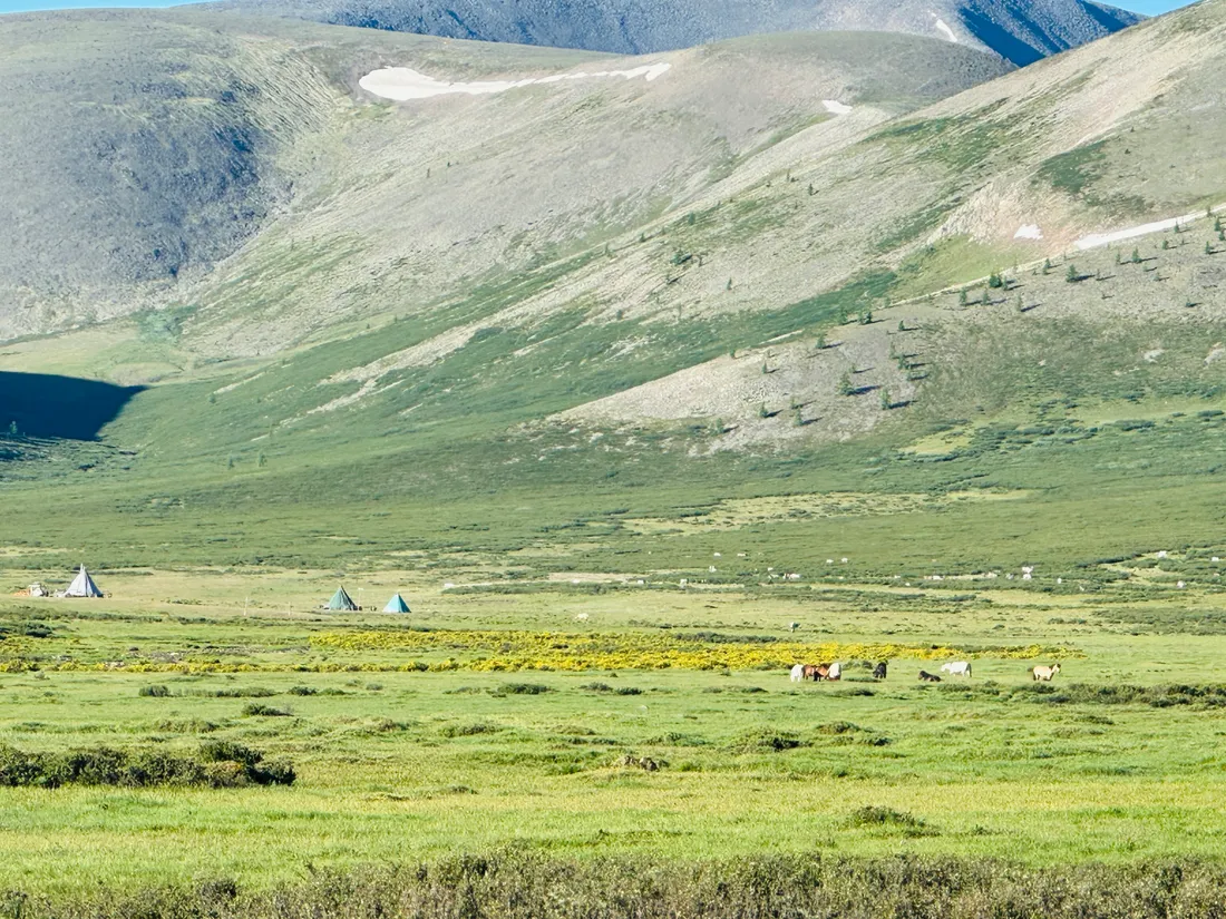 Teepees and reindeer across a high green valley