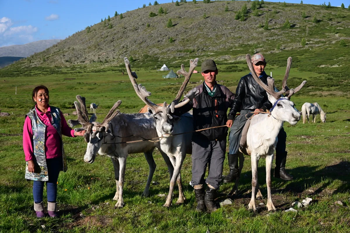 A Tsaatan family standing with three reindeer in front of their camp