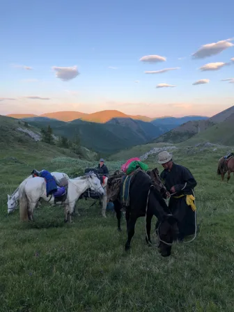 Pack horses and a herder in a taiga valley at dusk
