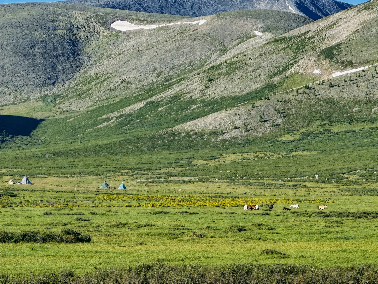 Teepees and grazing horses on a high valley floor below a green mountainside