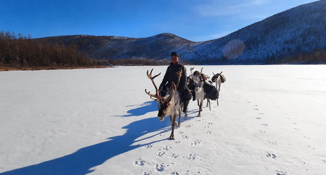 A herder leading a line of reindeer across a frozen lake in winter