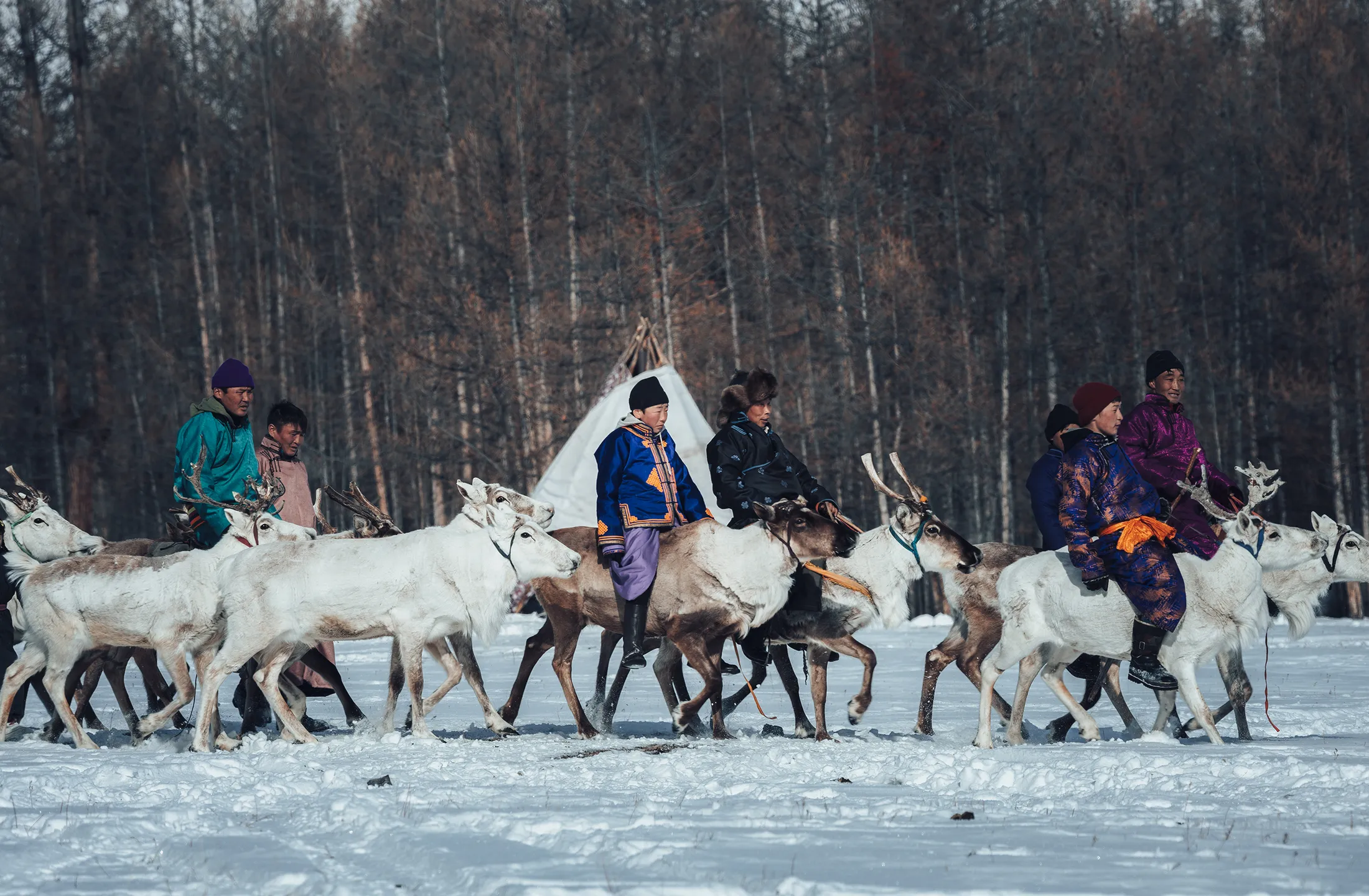 Herders riding reindeer through deep snow