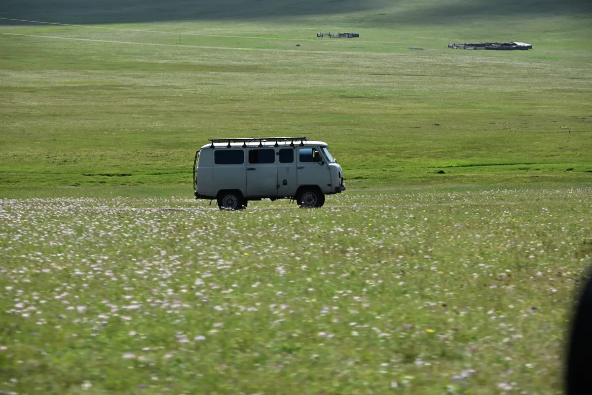 A van crossing a wide meadow of pale flowers