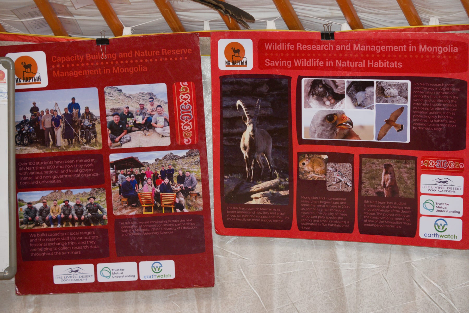 Research posters hanging inside a ger at the Ikh Nart research centre