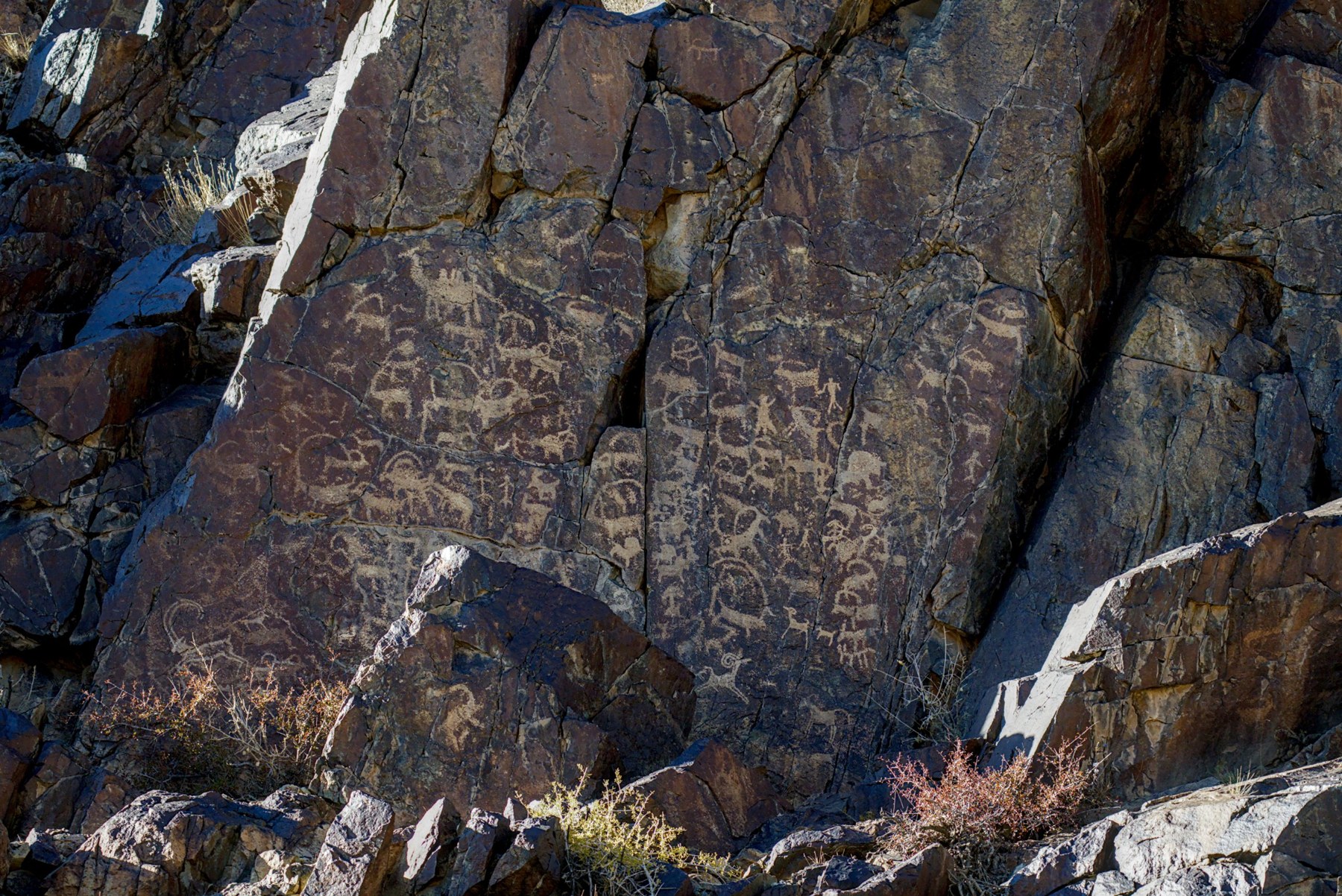 Ancient petroglyphs of ibex, other animals and human figures carved into a dark rock face in the Tost Mountains